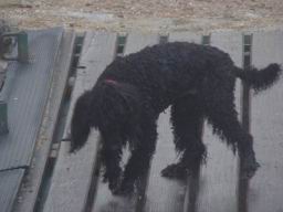 Resize of DSC05701.JPG